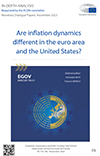 Are inflation dynamics different in the euro area and the United States?